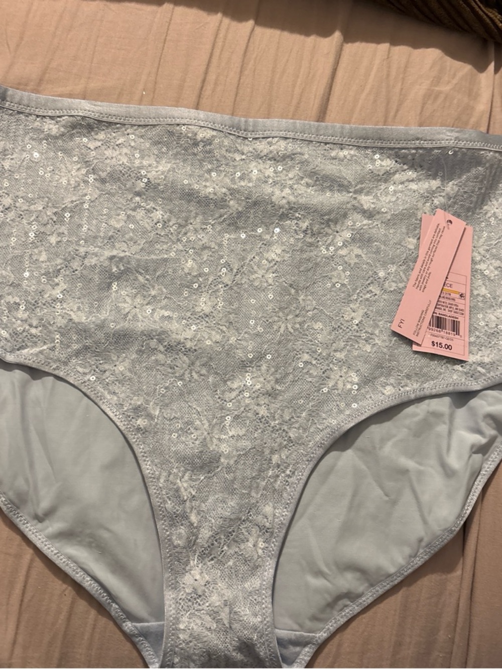 wild fable Light Blue Sequin Lace High-Rise Brief